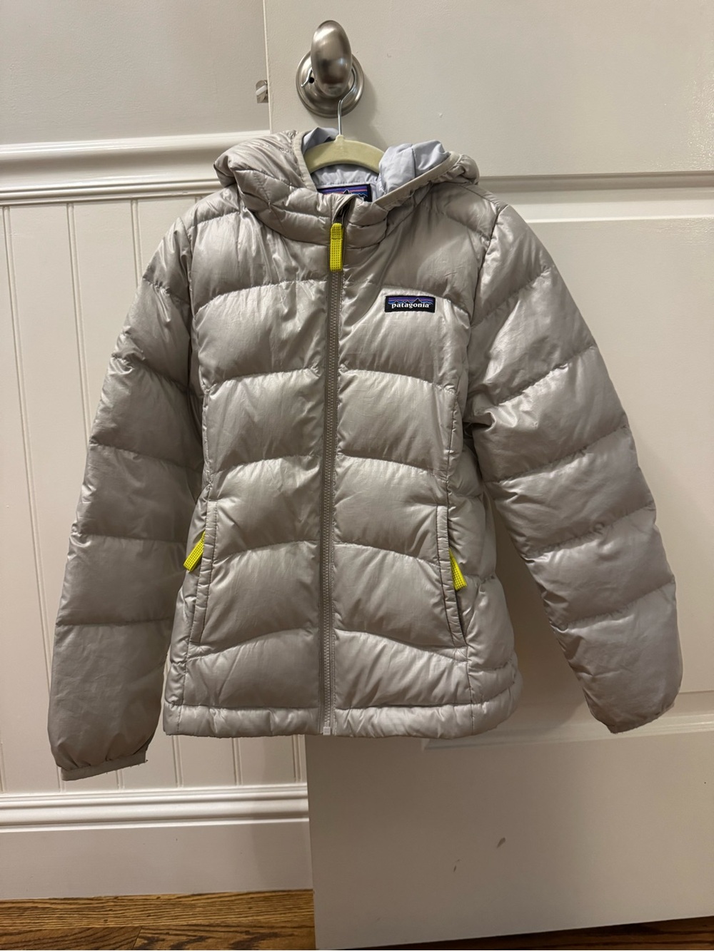 Patagonia Kids Hi-Loft Down Sweater Hooded Jacket